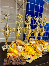 «Кубок Федерации гандбола Ставропольского края»