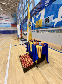 Физкультурно-массовое мероприятие по бадминтону «На призы Думы Ставропольского края»